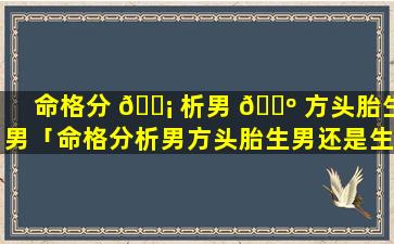 命格分 🐡 析男 🐺 方头胎生男「命格分析男方头胎生男还是生女」